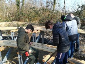 Mehr über den Artikel erfahren Am grünen Klassenzimmer wird fleißig weitergebaut